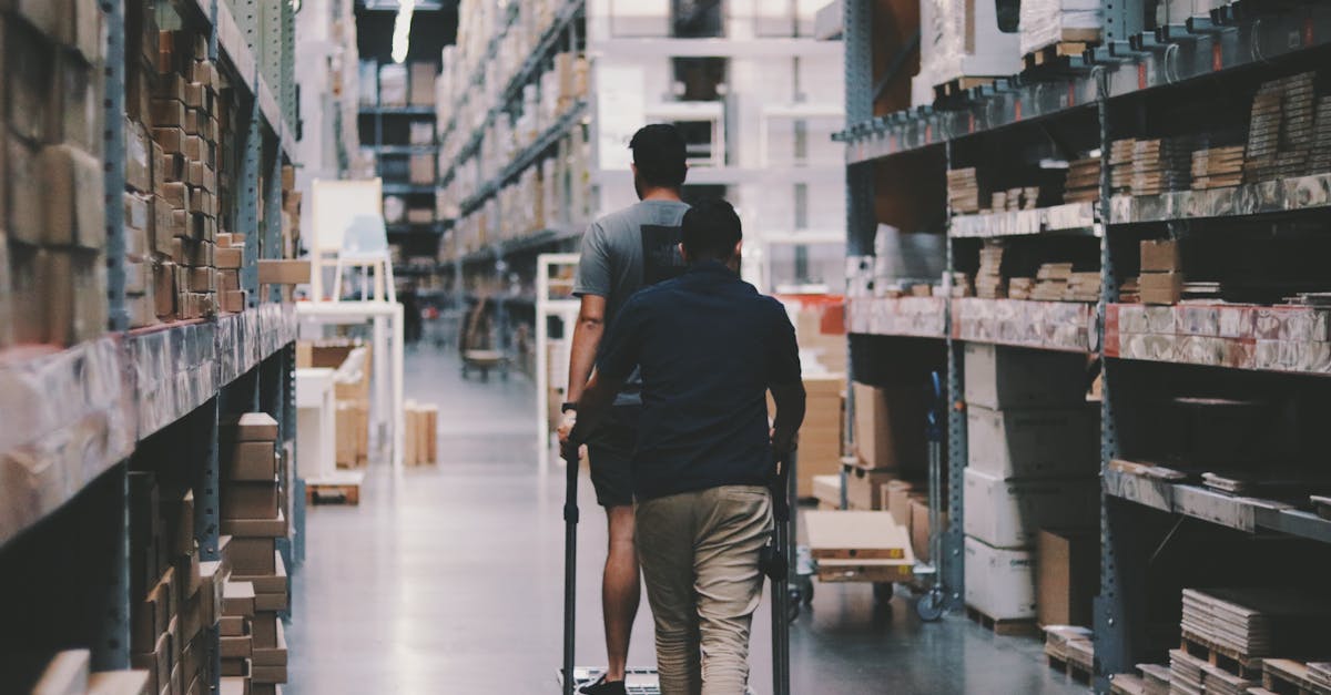 découvrez nos solutions de stockage efficaces pour organiser, protéger et optimiser l'espace de votre maison ou bureau. trouvez le système de rangement idéal adapté à vos besoins dès aujourd'hui.